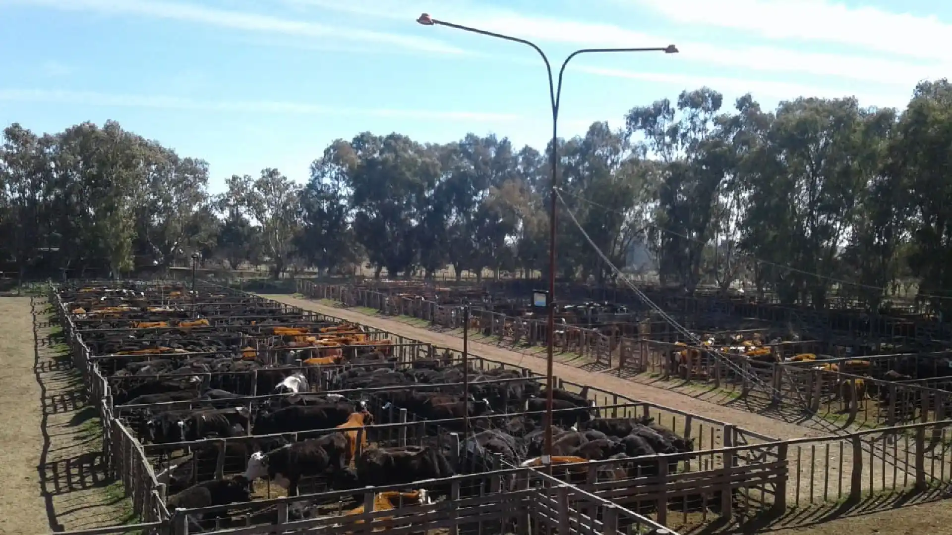 imagen aérea remate animales en corrales